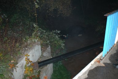 image-25